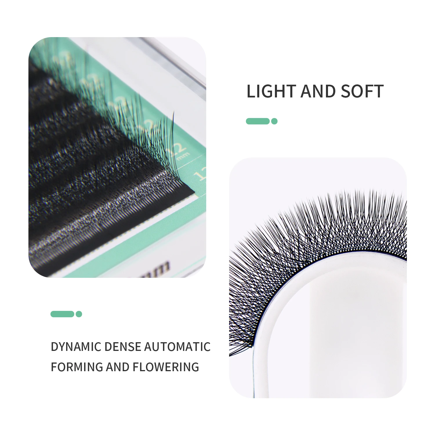 GLAMLASH 4D W-förmige Wimpernv – Eyelash Extension For Asian Eyes Bewertung und Preis