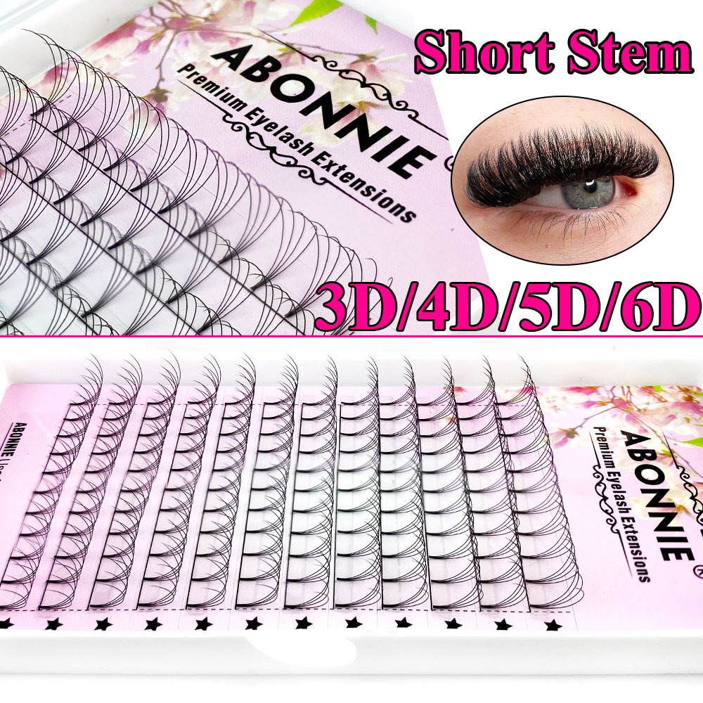Abonnie 6D Narrow Fan Vorgefer – Eyelash Extension Human Hair Bewertung und Preis